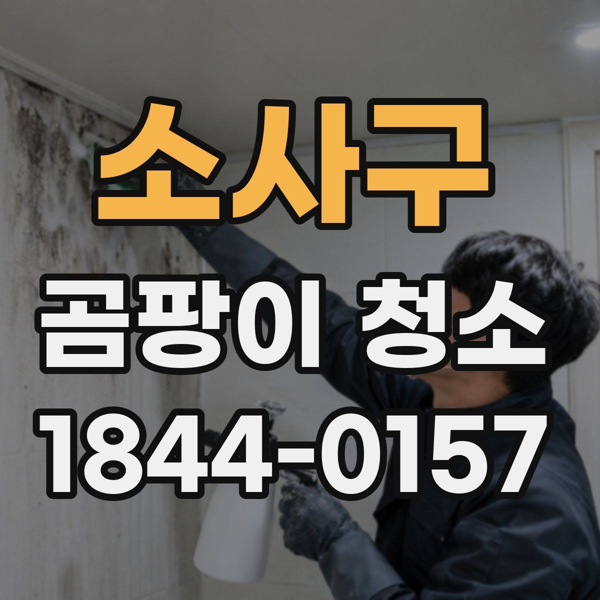 소사구 곰팡이 청소