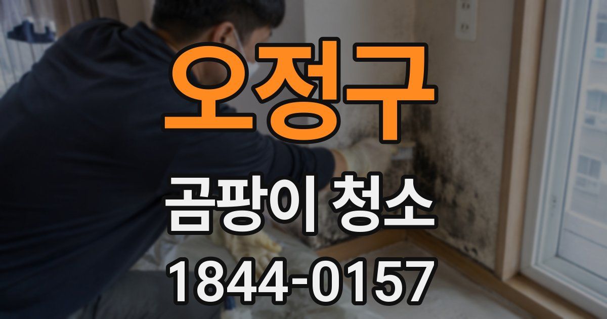 오정구 곰팡이 청소
