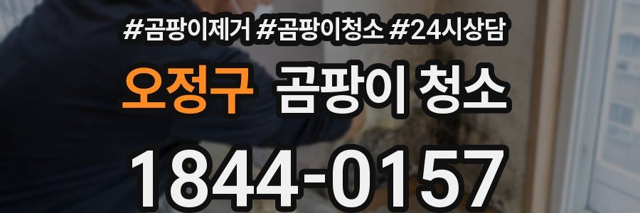 오정구 곰팡이 청소