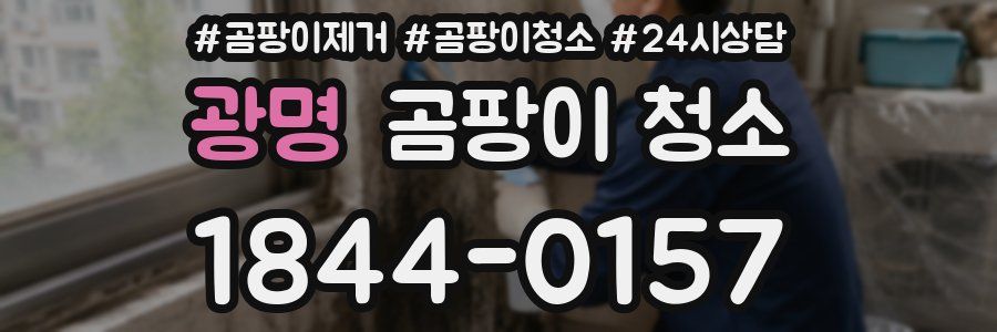 광명 곰팡이 청소