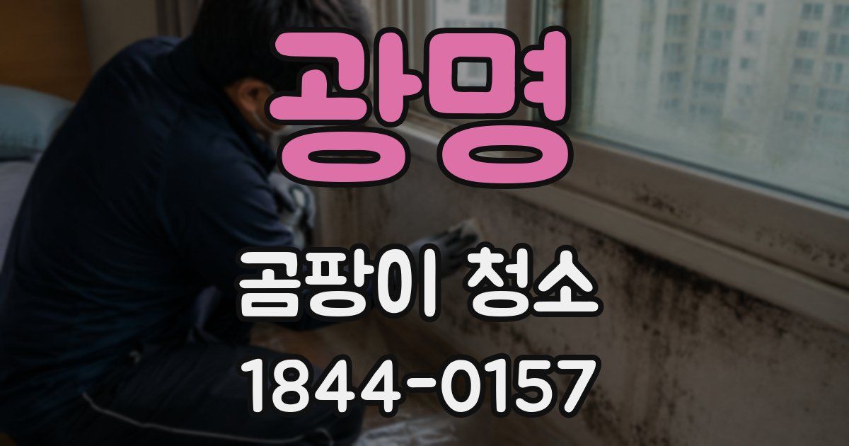 광명 곰팡이 청소
