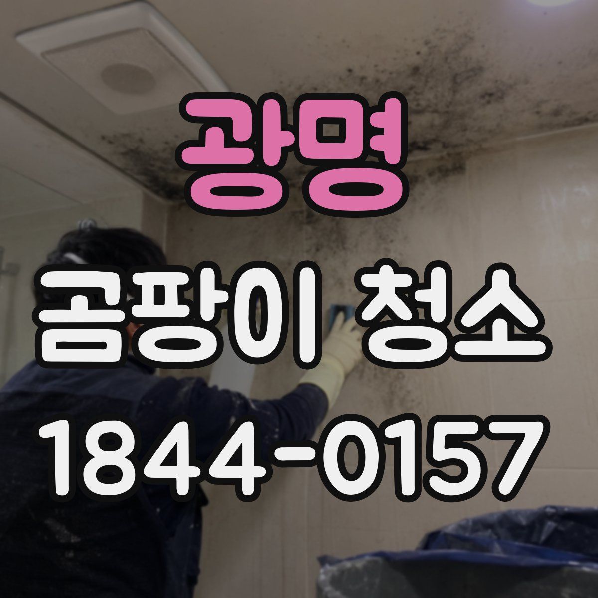 광명 곰팡이 청소