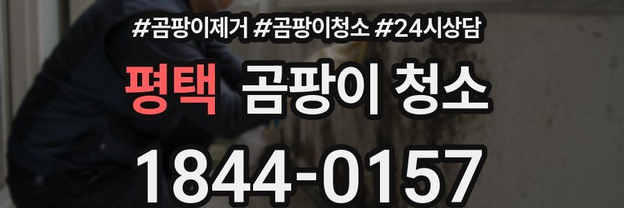 평택 곰팡이 청소
