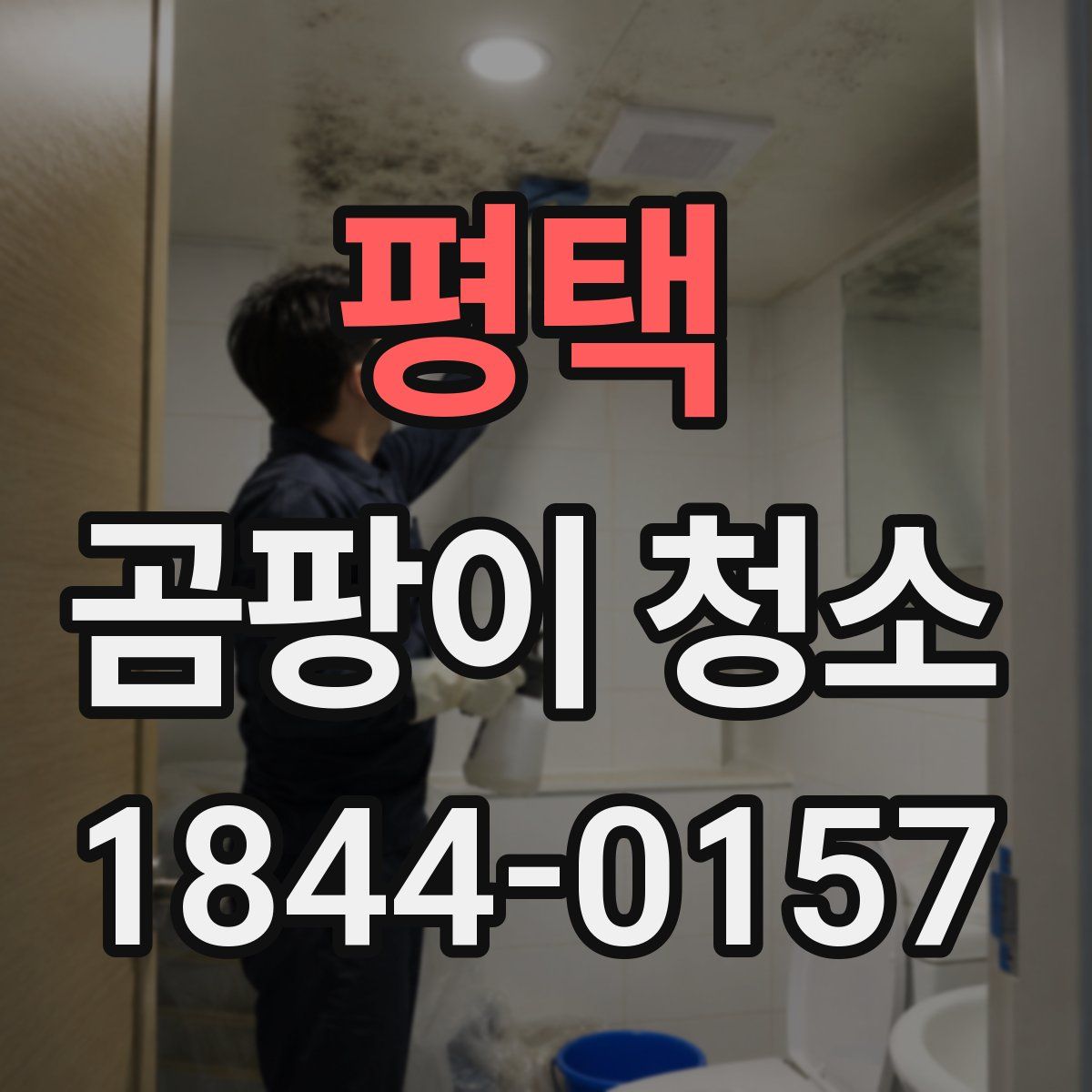 평택 곰팡이 청소