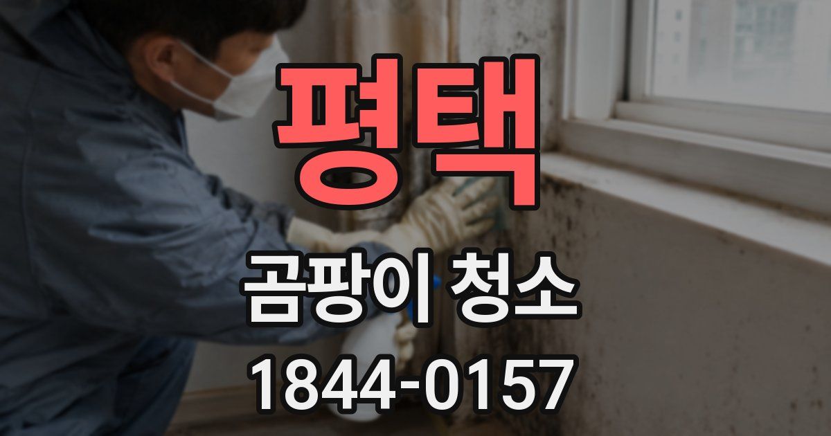 평택 곰팡이 청소