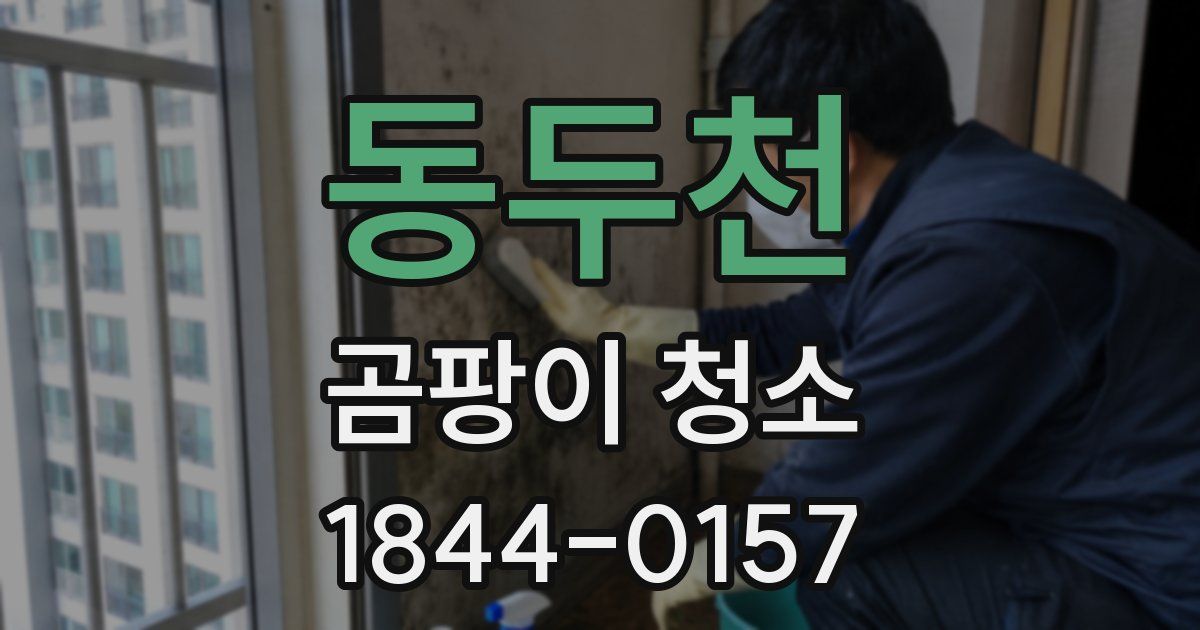 동두천 곰팡이 청소