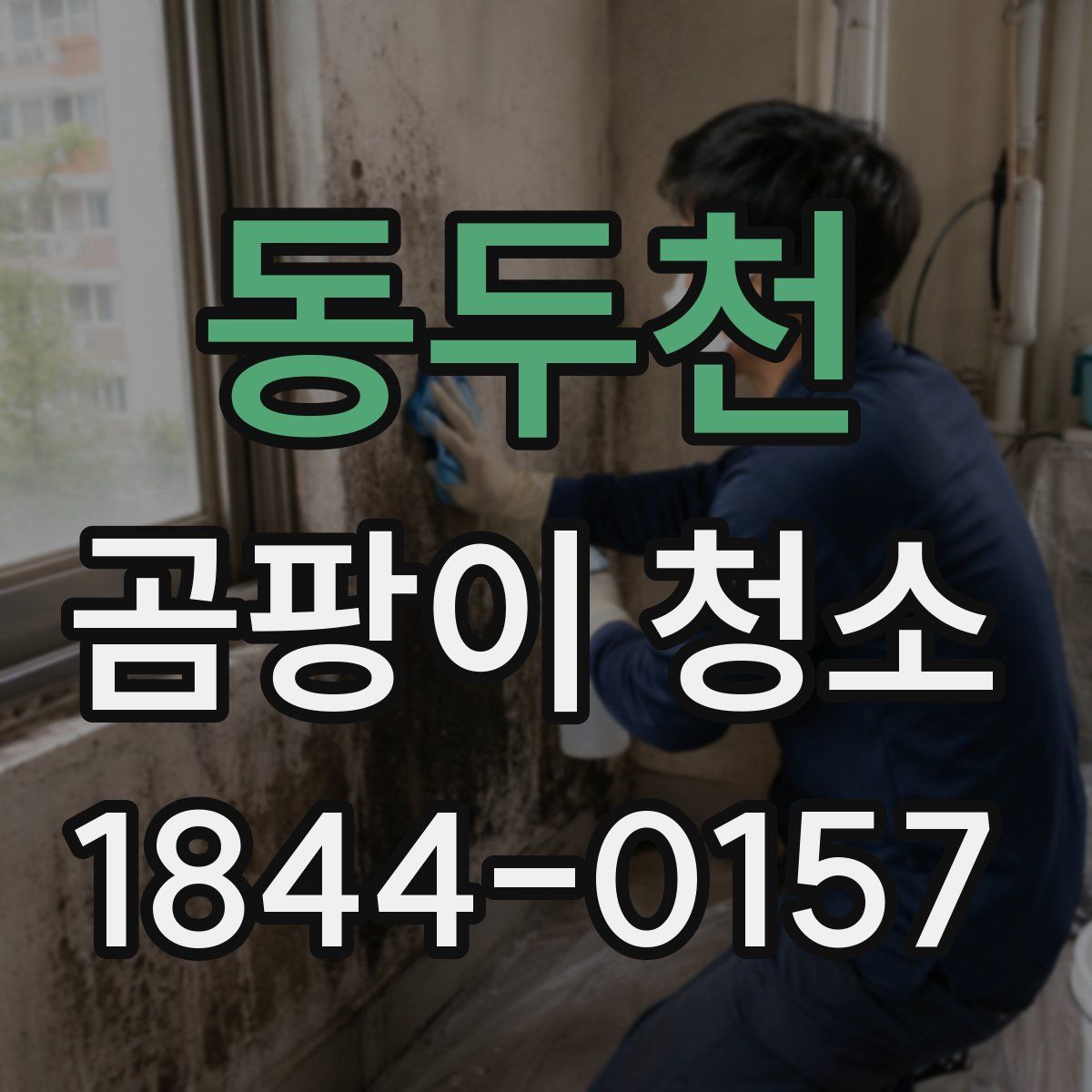 동두천 곰팡이 청소