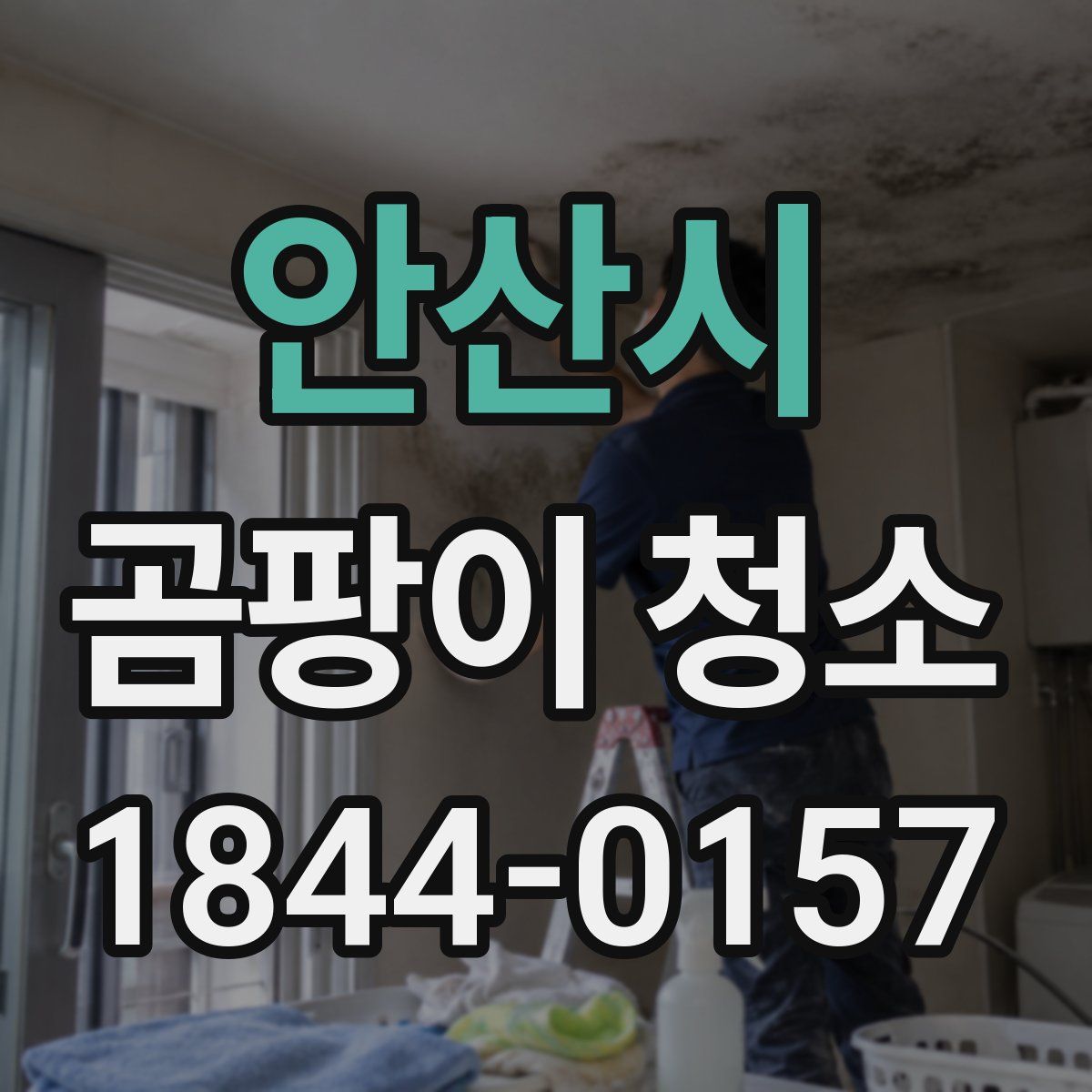 안산시 곰팡이 청소