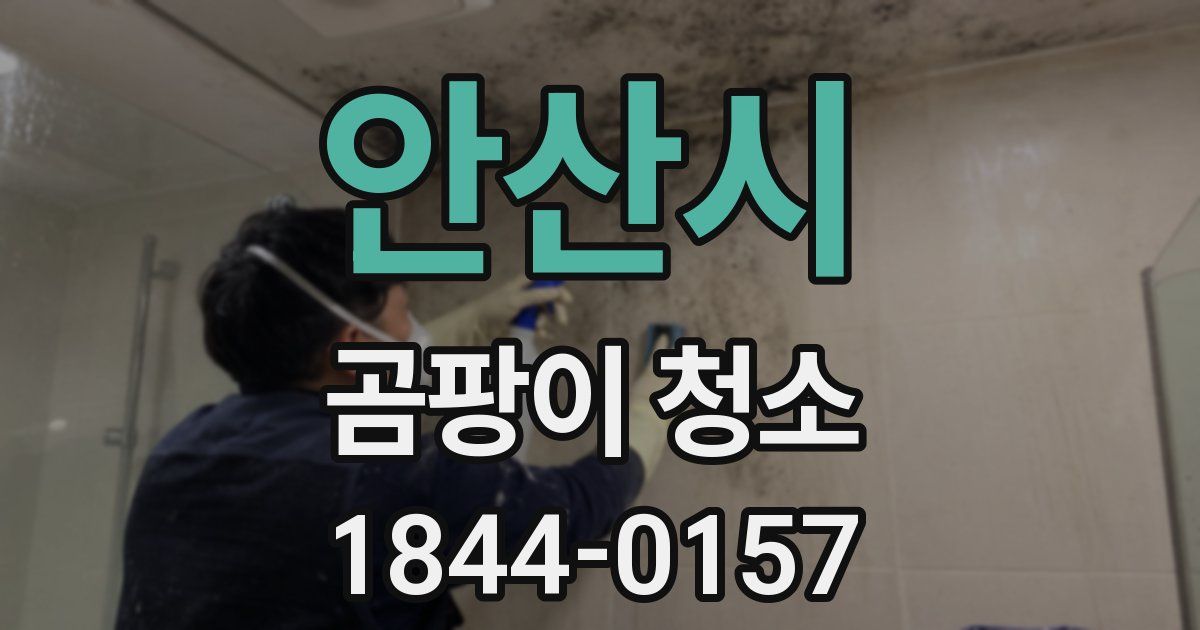 안산시 곰팡이 청소