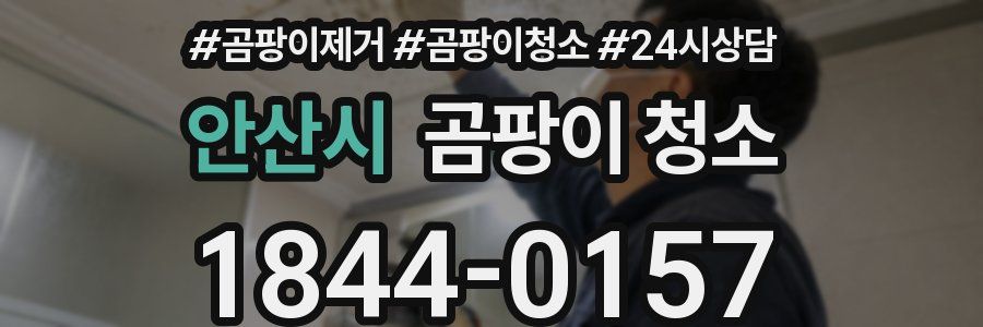 안산시 곰팡이 청소