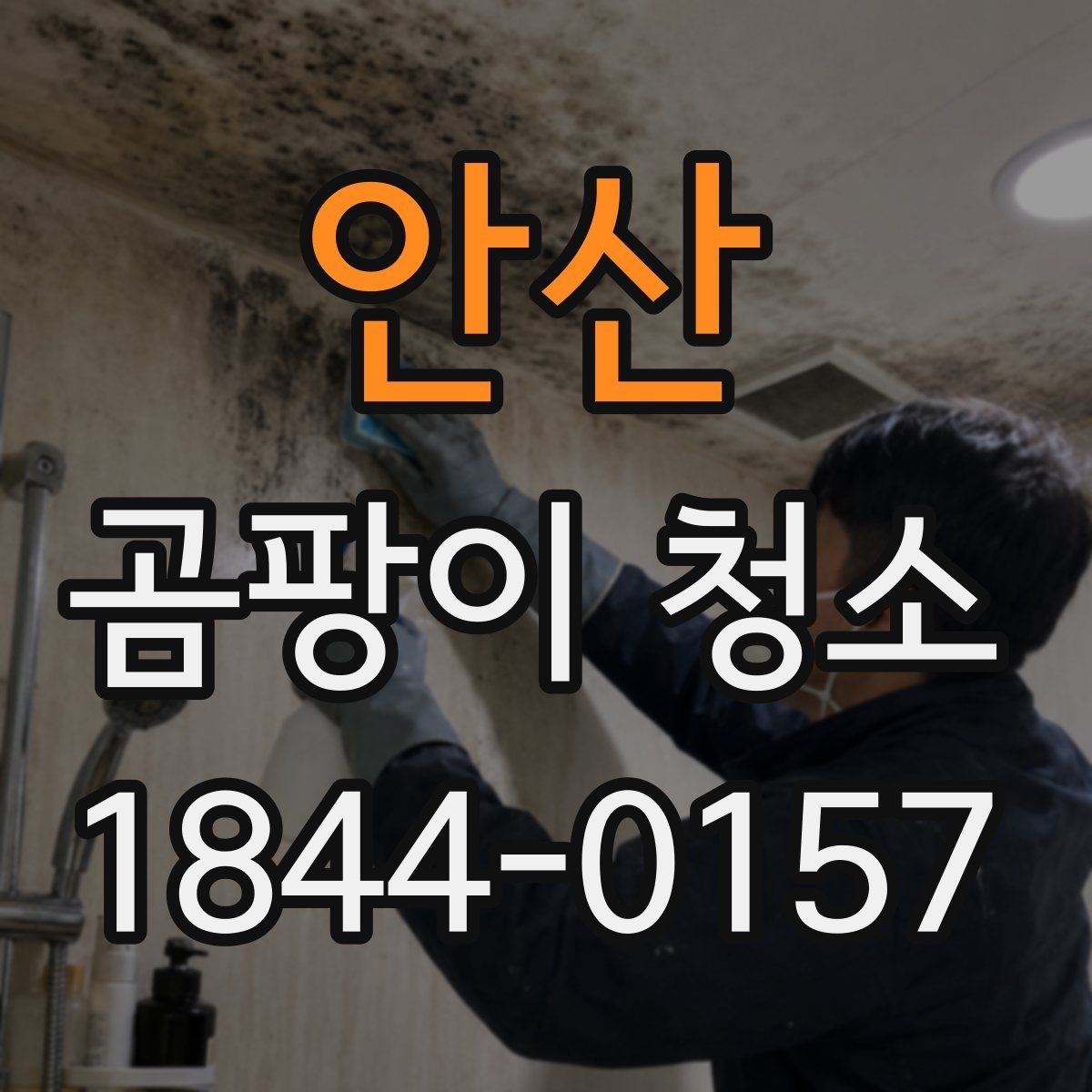 안산 곰팡이 청소 세제 선택 전 표면 손상 여부 확인하기
