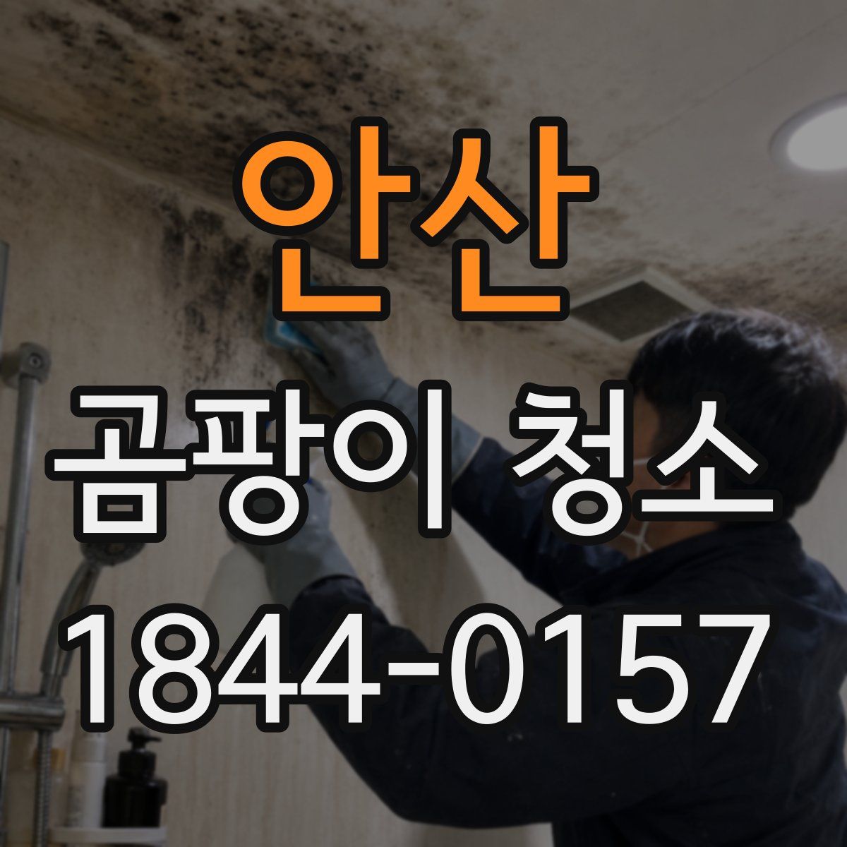 안산 곰팡이 청소