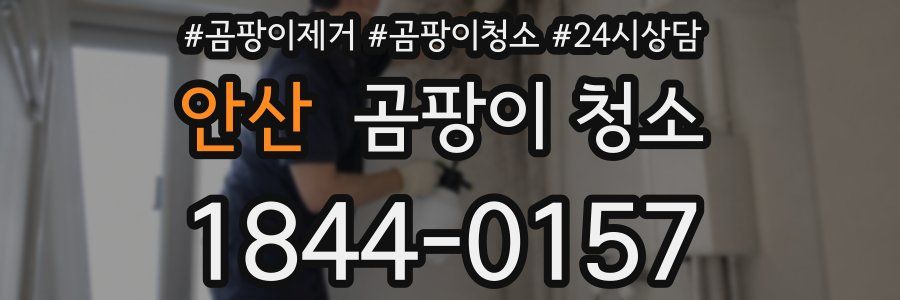 안산 곰팡이 청소