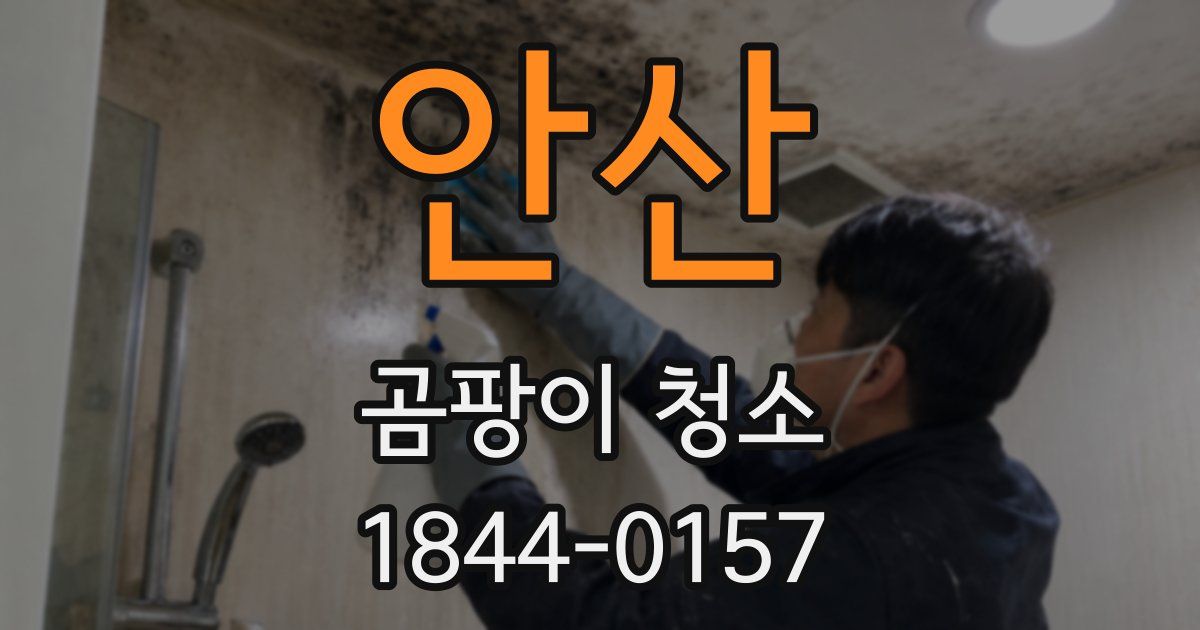 안산 곰팡이 청소