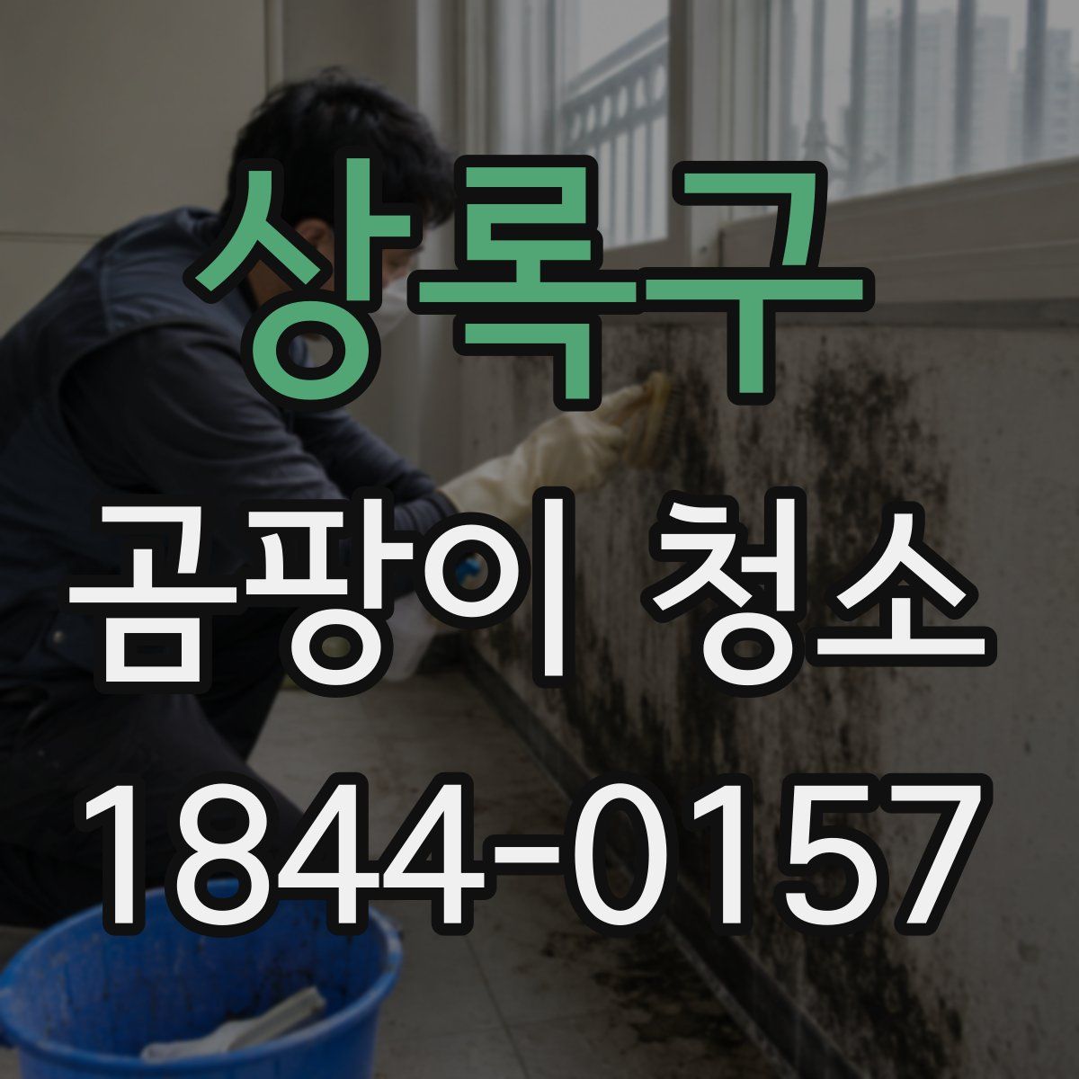 상록구 곰팡이 청소