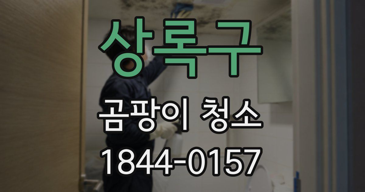 상록구 곰팡이 청소