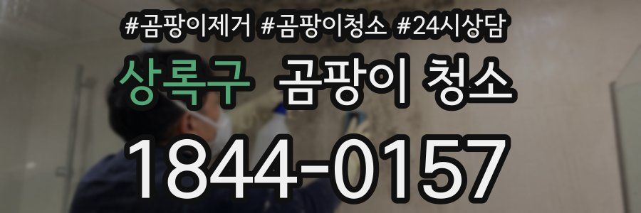 상록구 곰팡이 청소