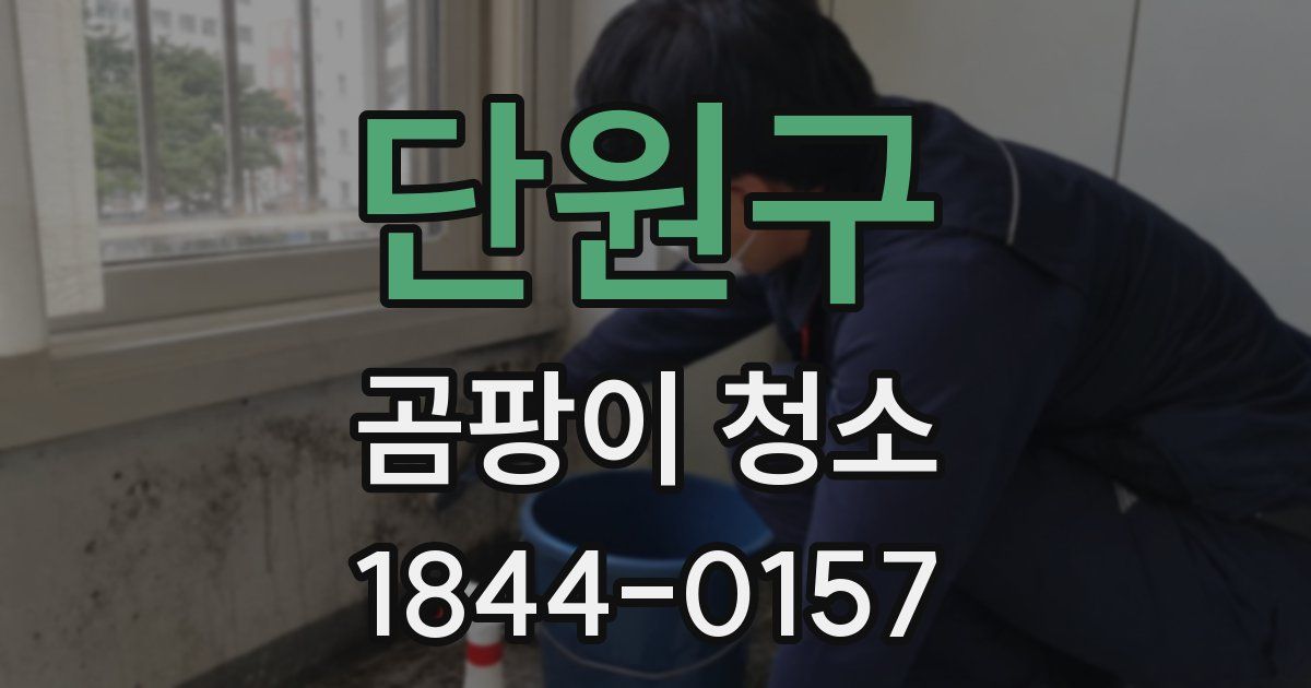 단원구 곰팡이 청소