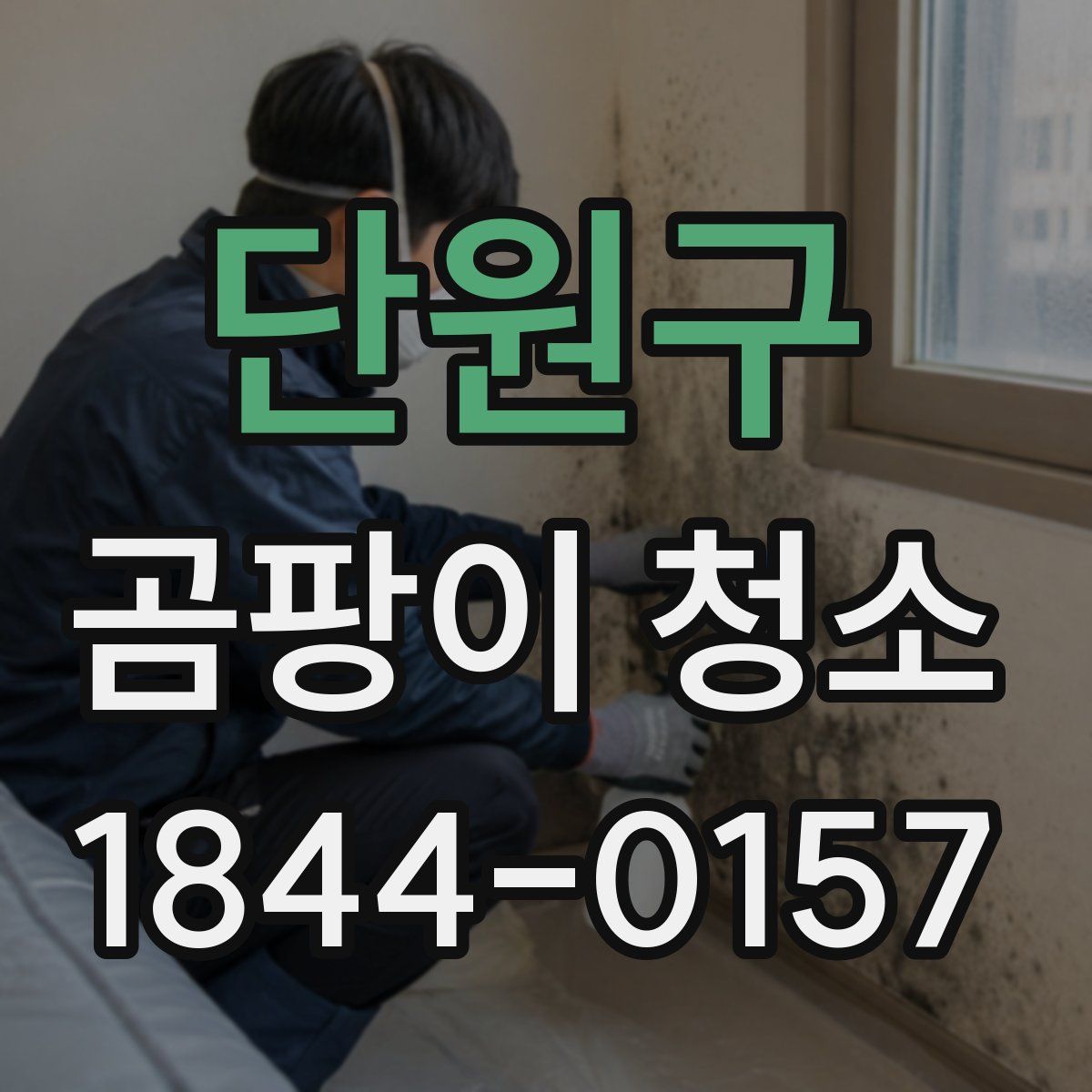 단원구 곰팡이 청소