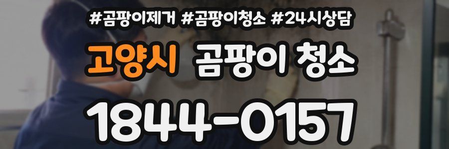 고양시 곰팡이 청소