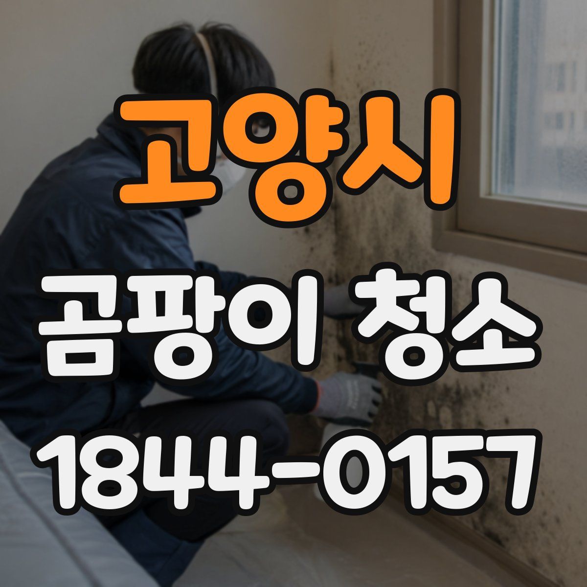 고양시 곰팡이 청소