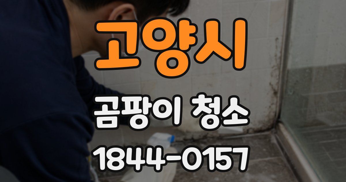 고양시 곰팡이 청소