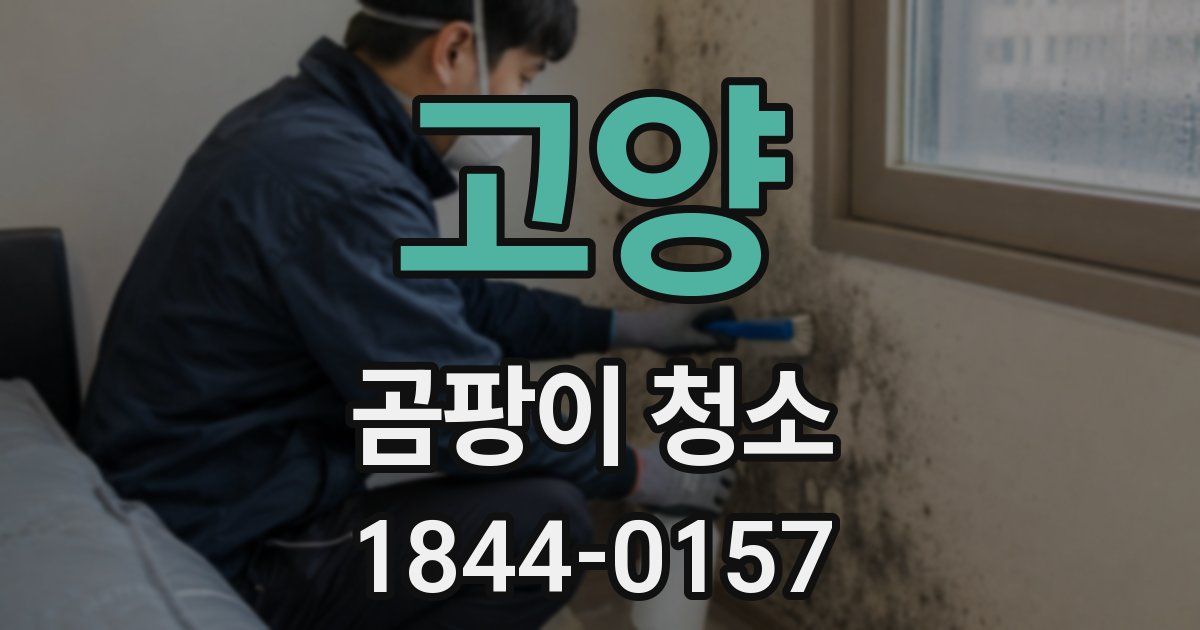 고양 곰팡이 청소