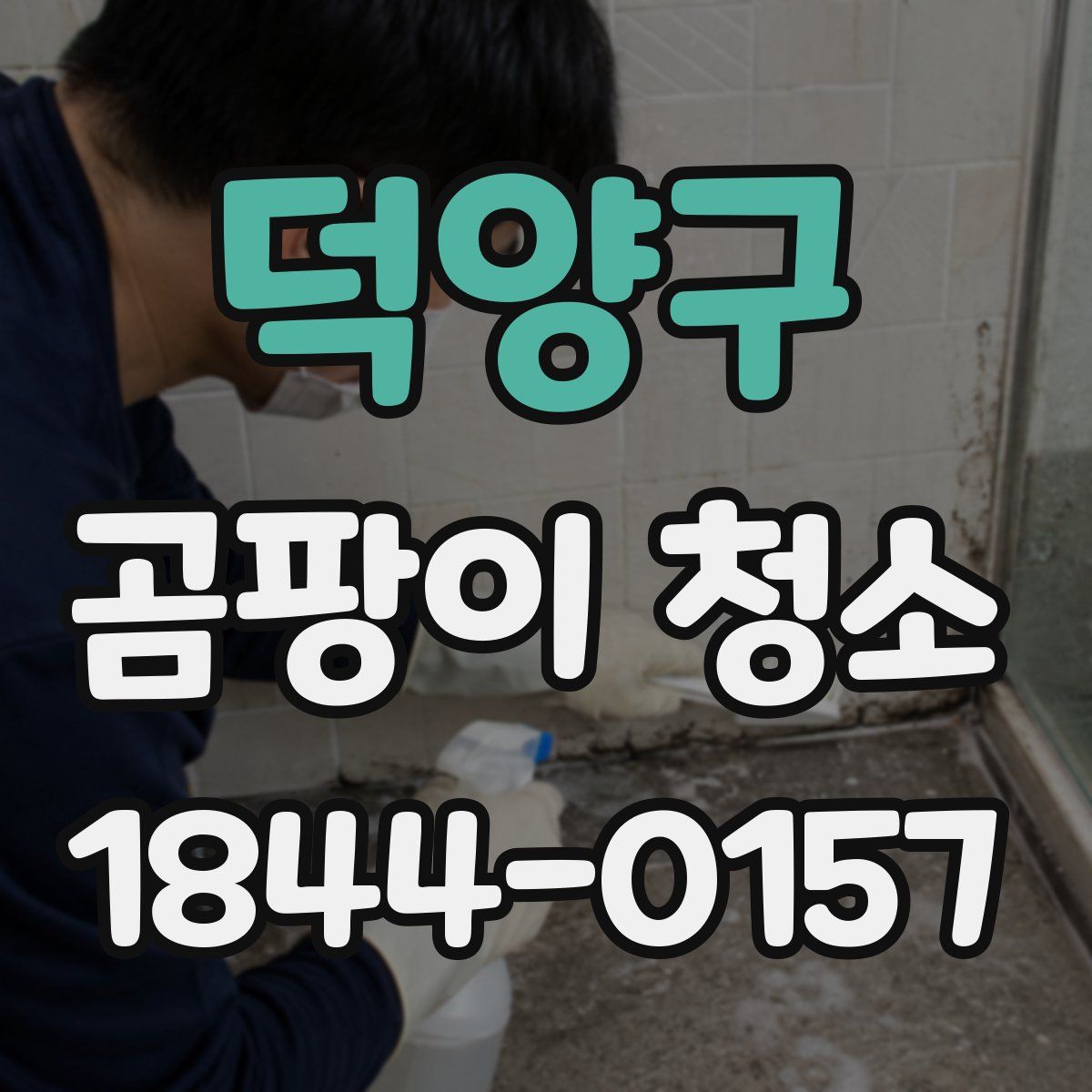 덕양구 곰팡이 청소