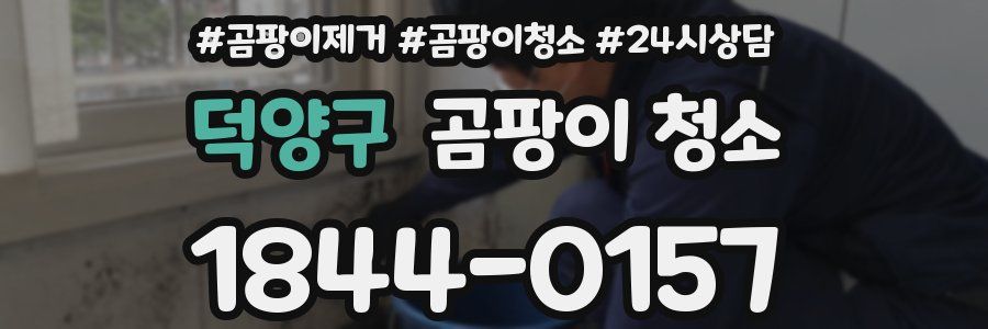 덕양구 곰팡이 청소