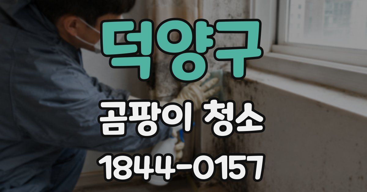 덕양구 곰팡이 청소