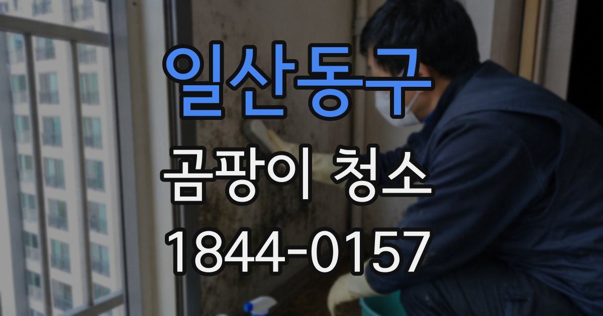 일산동구 곰팡이 청소