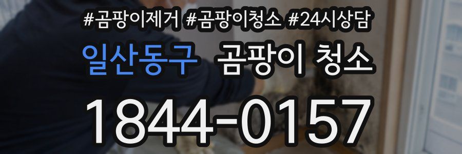 일산동구 곰팡이 청소