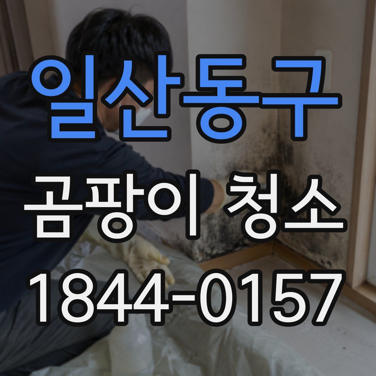 일산동구 곰팡이 청소