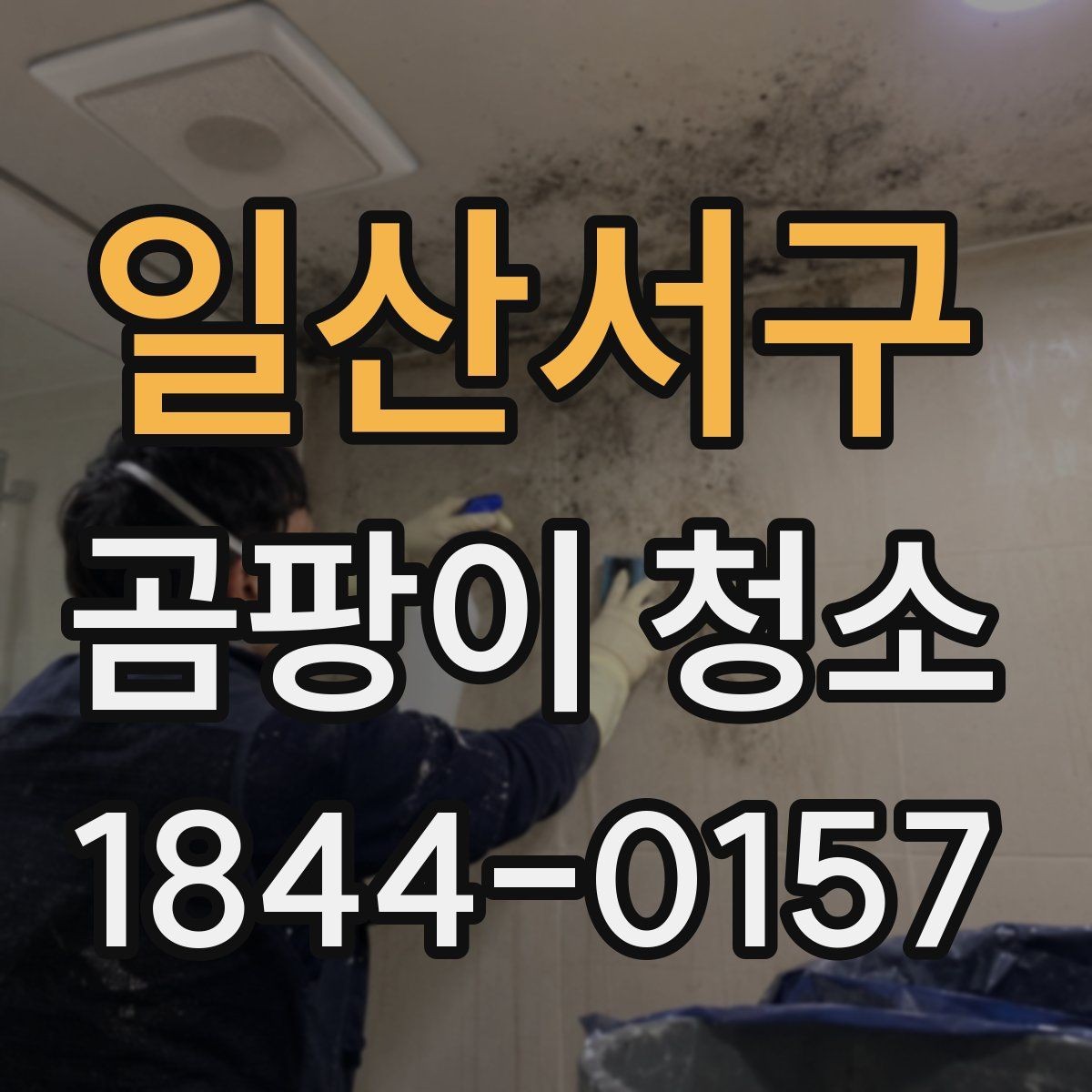 일산서구 곰팡이 청소 욕실 실리콘 부위가 자주 번지는 까닭