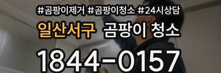 일산서구 곰팡이 청소