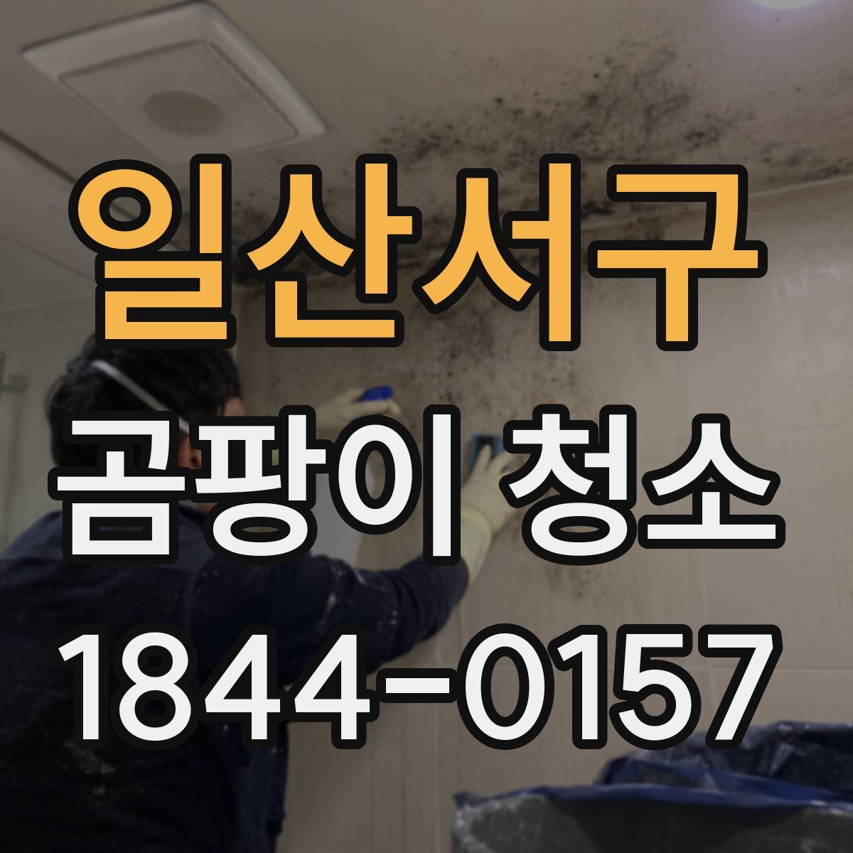 일산서구 곰팡이 청소