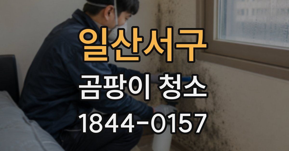 일산서구 곰팡이 청소
