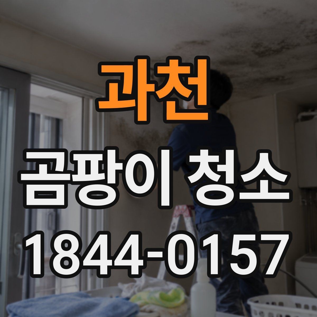 과천 곰팡이 청소 실내 습도 조절과 환기를 함께 보는 이유