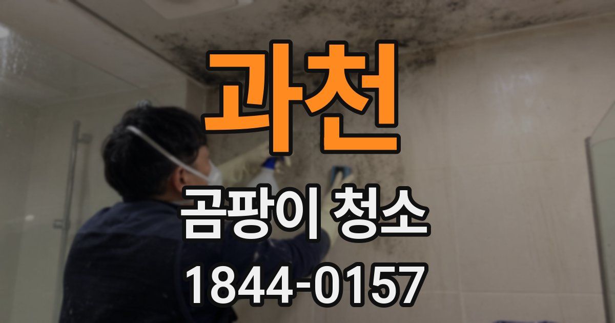 과천 곰팡이 청소