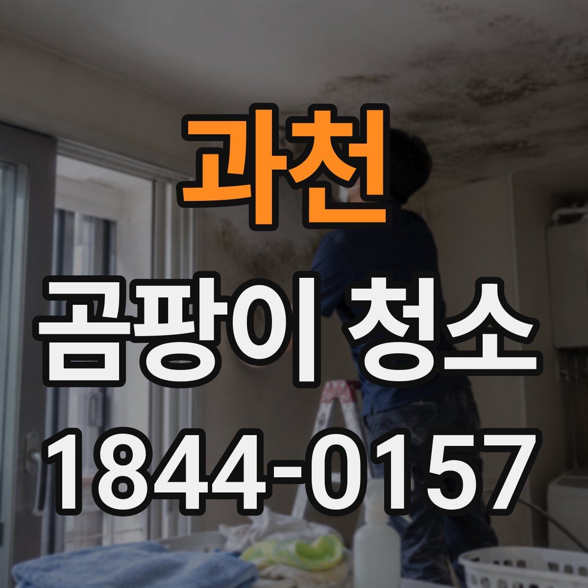 과천 곰팡이 청소