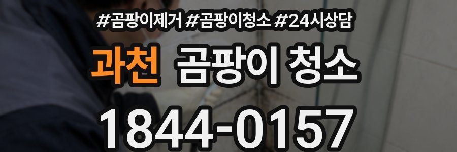 과천 곰팡이 청소