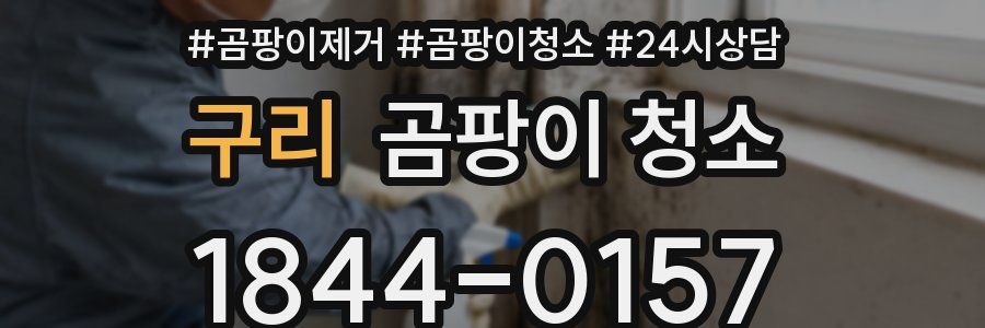 구리 곰팡이 청소