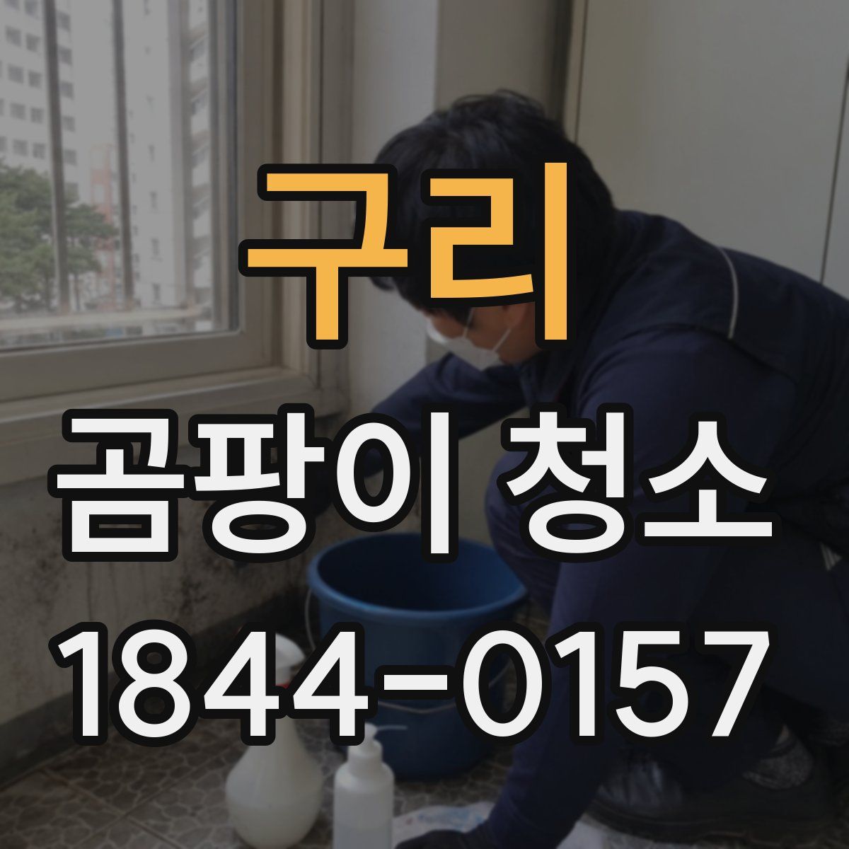 구리 곰팡이 청소