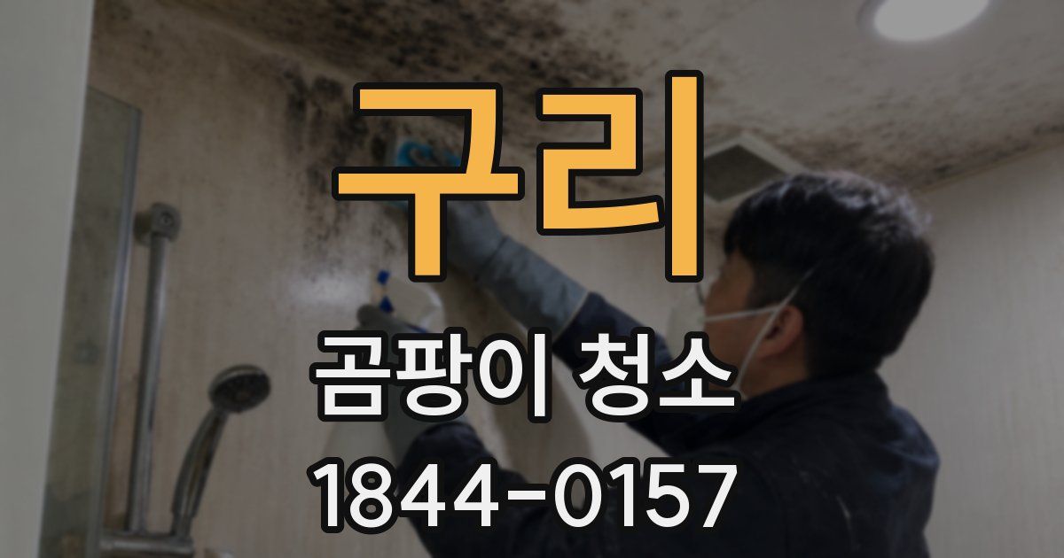 구리 곰팡이 청소