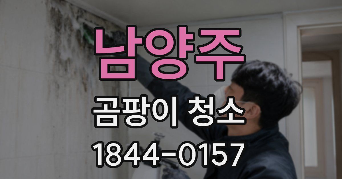 남양주 곰팡이 청소