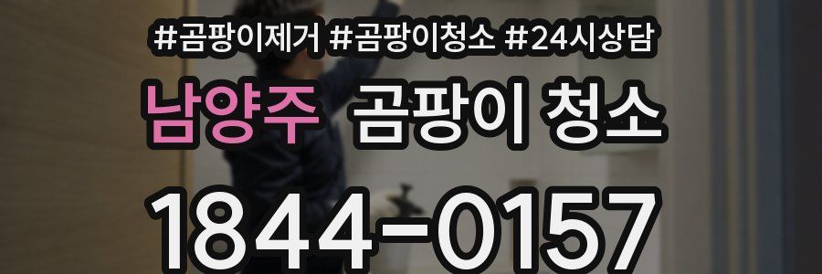 남양주 곰팡이 청소