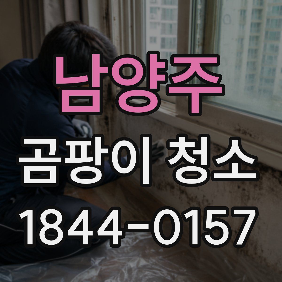 남양주 곰팡이 청소