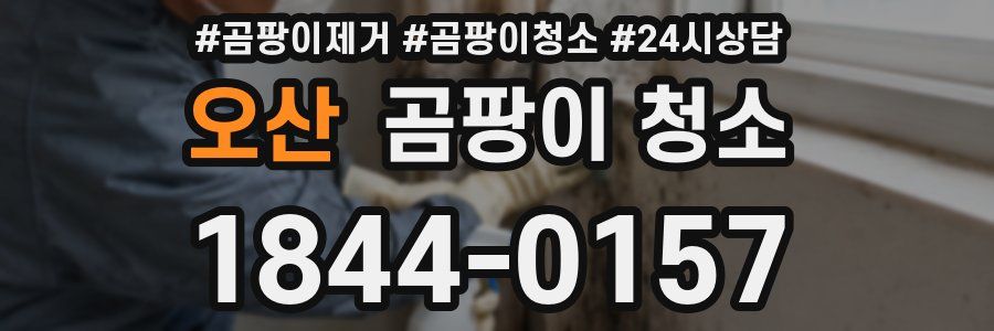 오산 곰팡이 청소