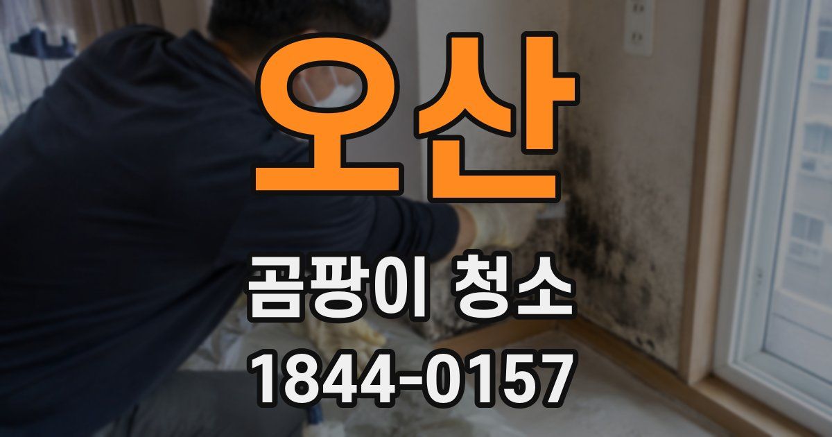오산 곰팡이 청소