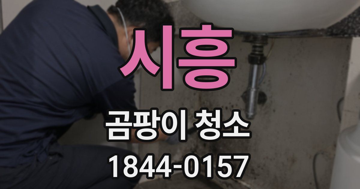 시흥 곰팡이 청소